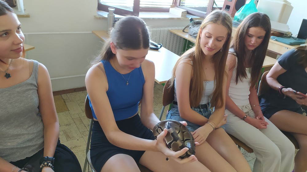 Malé ohlédnutí za červnovou hadí aktivitou